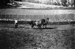 Pløyiing med 2 hester på Nome, Øyslebø.