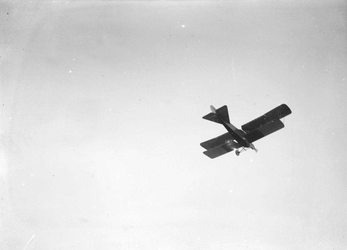 Flygplan Albatros B.IIa flyger över Malmen. Vy snett underifrån.