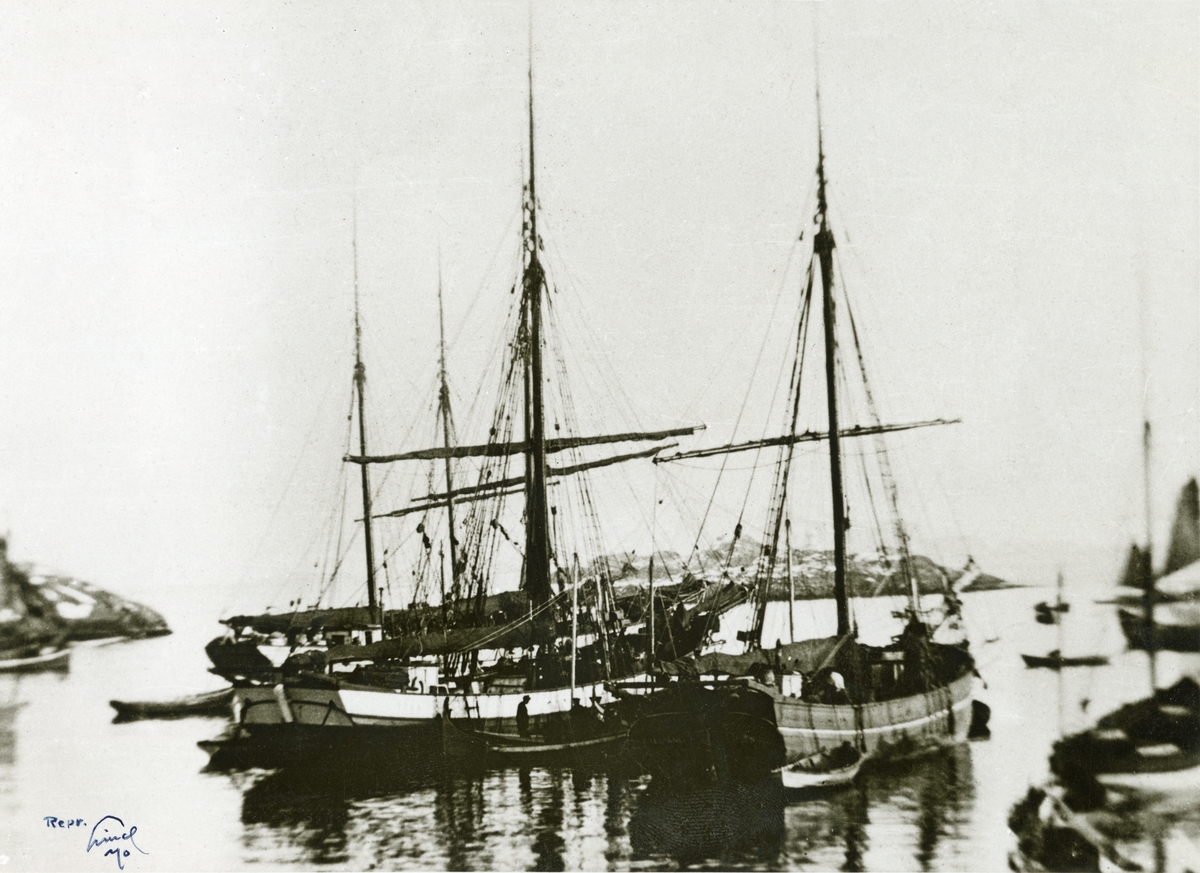 Jakt 'Vega' (til venstre) og 'Elianna' (ex-'Ilianna') i havn. Bygget i Ølve.