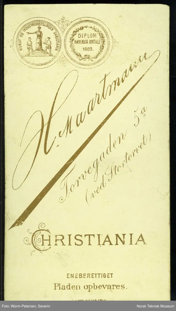 Portrett av skuespillerinne