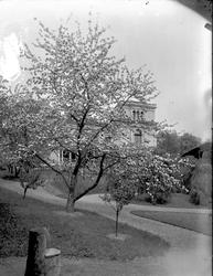 Skøyen hovedgård, hovedhus med sidebygning og del av parkanl