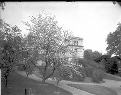 Skøyen hovedgård, hovedhus i del av parkanlegget (Den engels