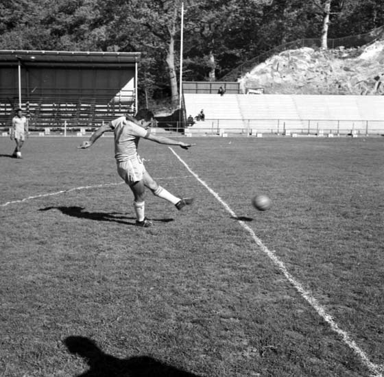 Brasiliens lag tränar på Rimnersvallen inför VM-match i fotboll 1958