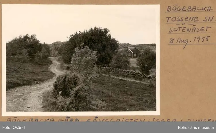 Noterat på kortet: "Bögebacka Tossene Sn. Sotenäset."
"Bögebacka gård. Gånggriften ligger i dungen mitt på kortet."
"Aug. 1955."