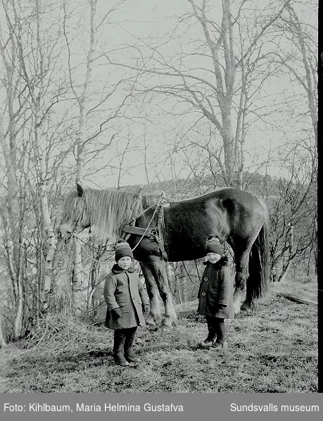 Två barn och en häst i utemiljö.
