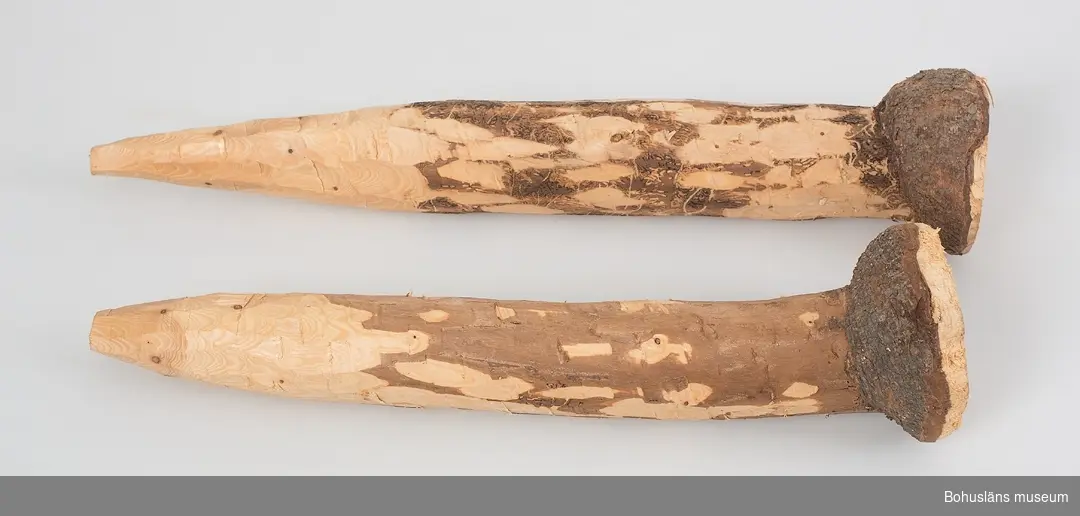 Två tjudrinspålar av olika längd tillverkade av granstam där knölen, utväxten vid stammen utnyttjats.
Tillyxade ur ett självvuxet ämne.