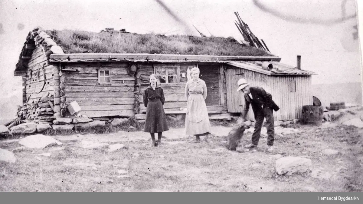 Lykkjastølen i Baklien i Hemsedal, 1920. Denne stølen høyrde tidlegare til Grøvargarden