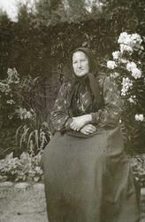 Eldre dame i stasklede på Rophaug