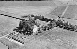 Flyfoto av gården i Nygård 1951.
