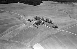 Gården Botten i Rakkestad, flyfoto 4. august  1951.