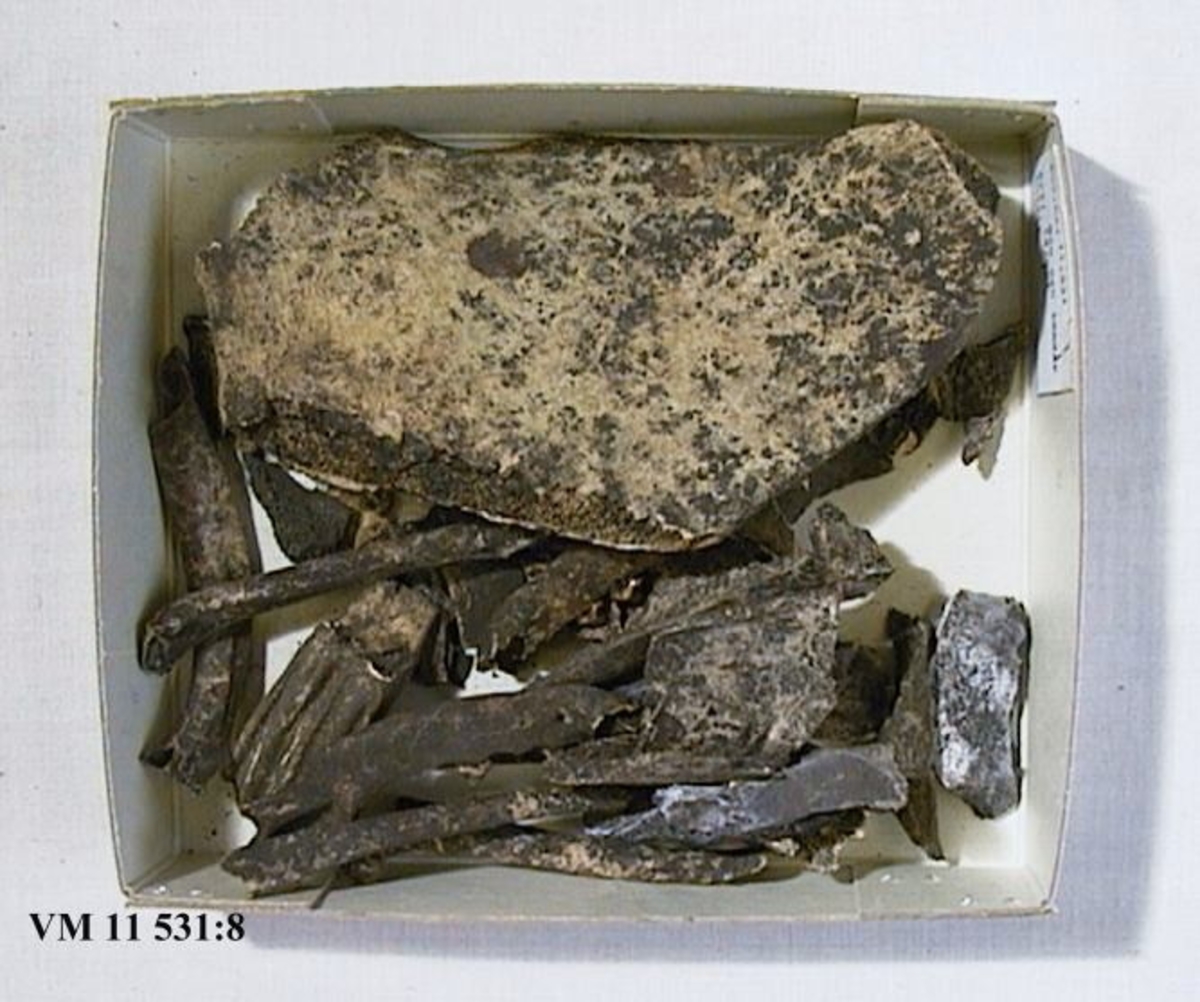 Gravfynd från Gotland, 1883.
I fyndet ingick 4 st mynt som vid inventering 1997 ej gick att finna.

Djurben och tänder, brända och obrända, 50-tal.