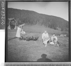 Gruppebilde av tre kvinner med husdyr.