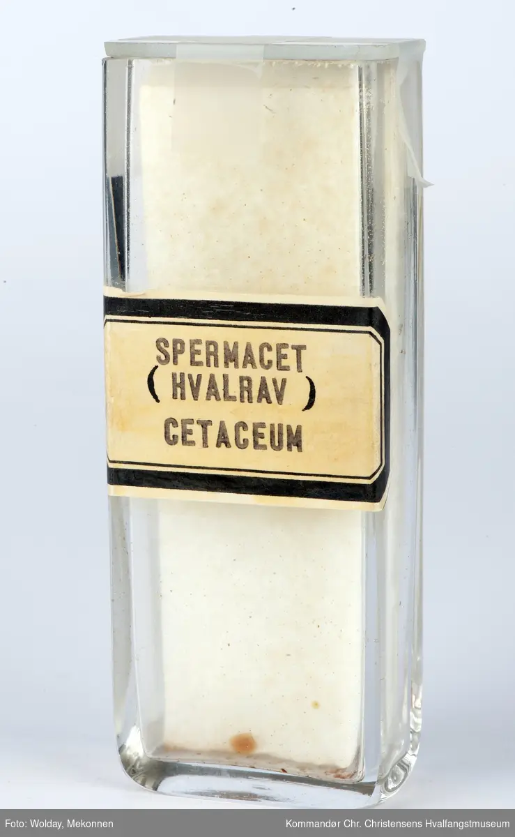 Hvalrav (cetaceum) fra spermhval på glass- beholder.