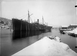 S/S.Roald fotografert 21.12.1901.