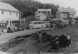 Mai-juni 1945. Ant. russiske krigsfanger. (Spillumshøgda?)