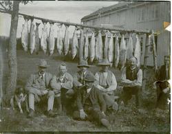 Laksefiske. Syv menn og atten laks.