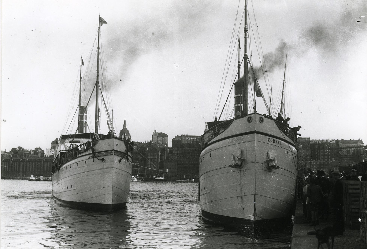 Passagerarångfartygen Torneå av Helsingfors och von Döbeln av Helsingfors liggande vid Skeppsbron, omkr. 1920.