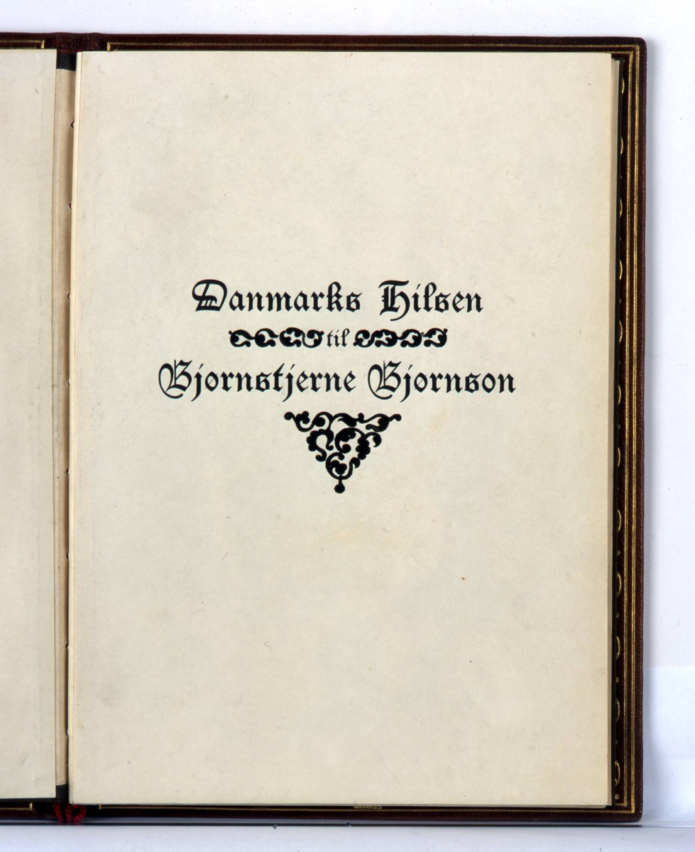 Adresse innbundet i brunt skinn med preget dekor i olivengrønt og rødt. Rød tvinnet snor i ryggen med dusker. På innsiden grønn silke med gullborder og broderte blomster.