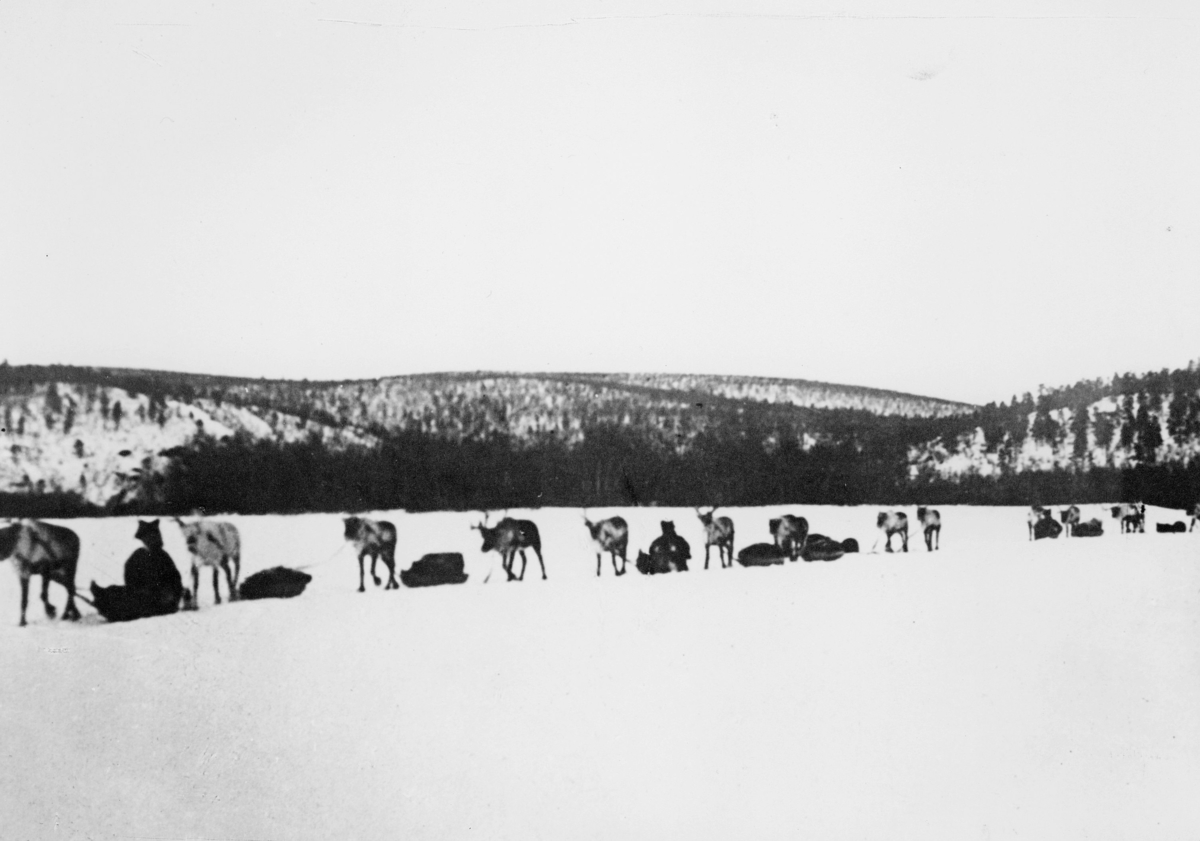 transport, Karasjokkielva i Finnmark, postbefordring med rein