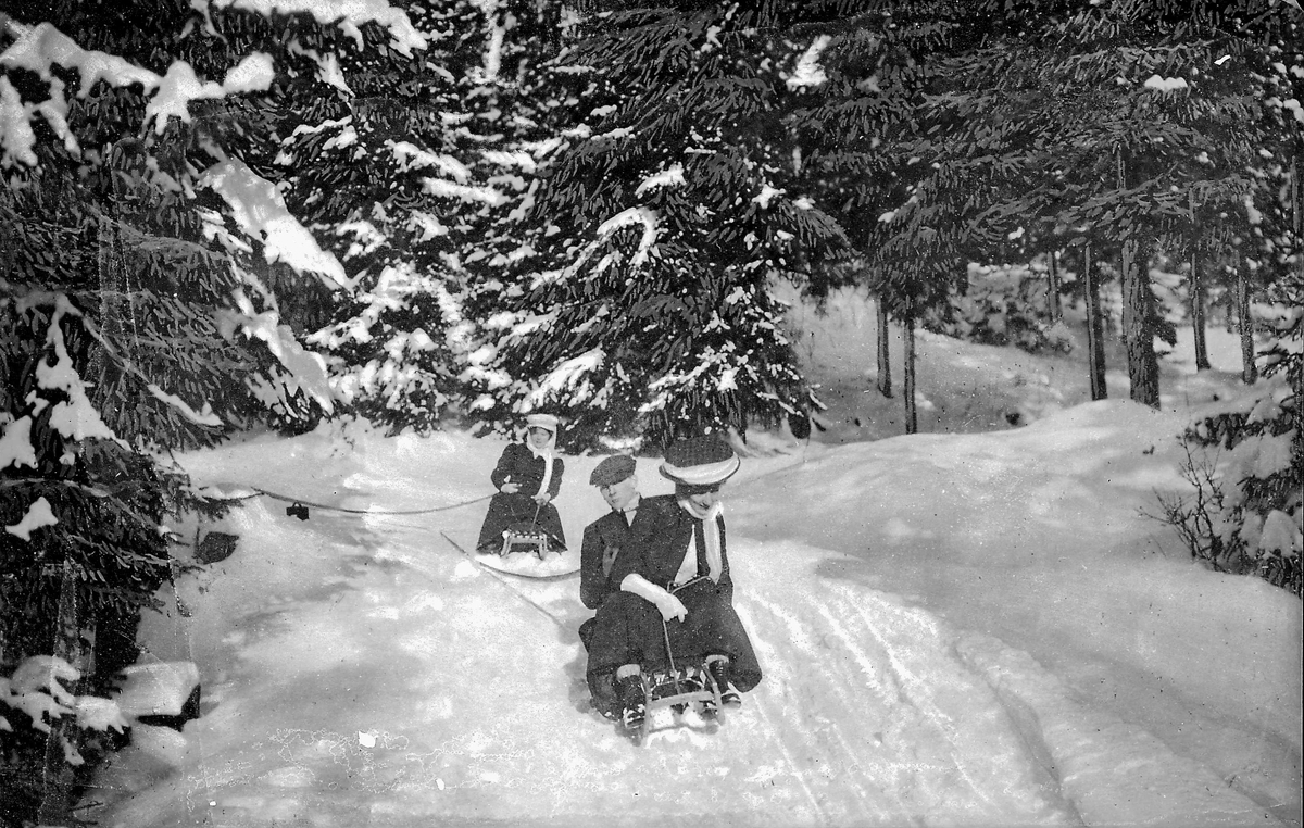 To kvinner og mann på kjelke i skogen, vinter
