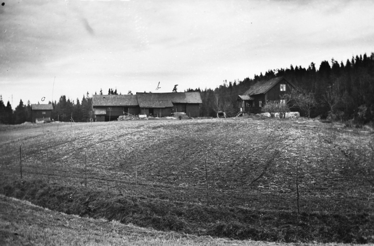 Ekornrud, øvre også kalt Ekornrudpladsen ble etablert under Ekornrud gård (41/35, eksisterer ikke lenger som gård). Stedet kalles idag Tømtehytta, etter skogsjef Tømte ved Ljansbruket som etablerte den.