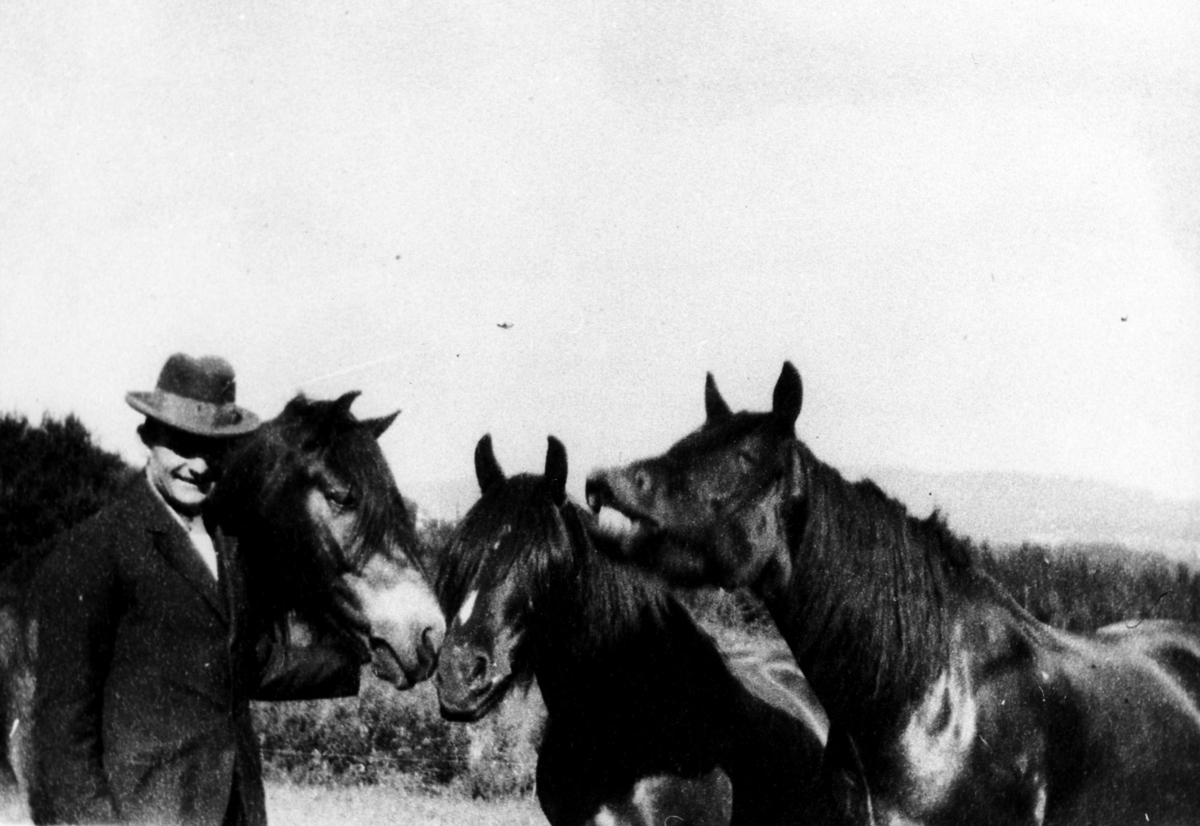 Mann med hester, gårdsbestyrer Nils Kleiven med hestene på Emma Hjort.