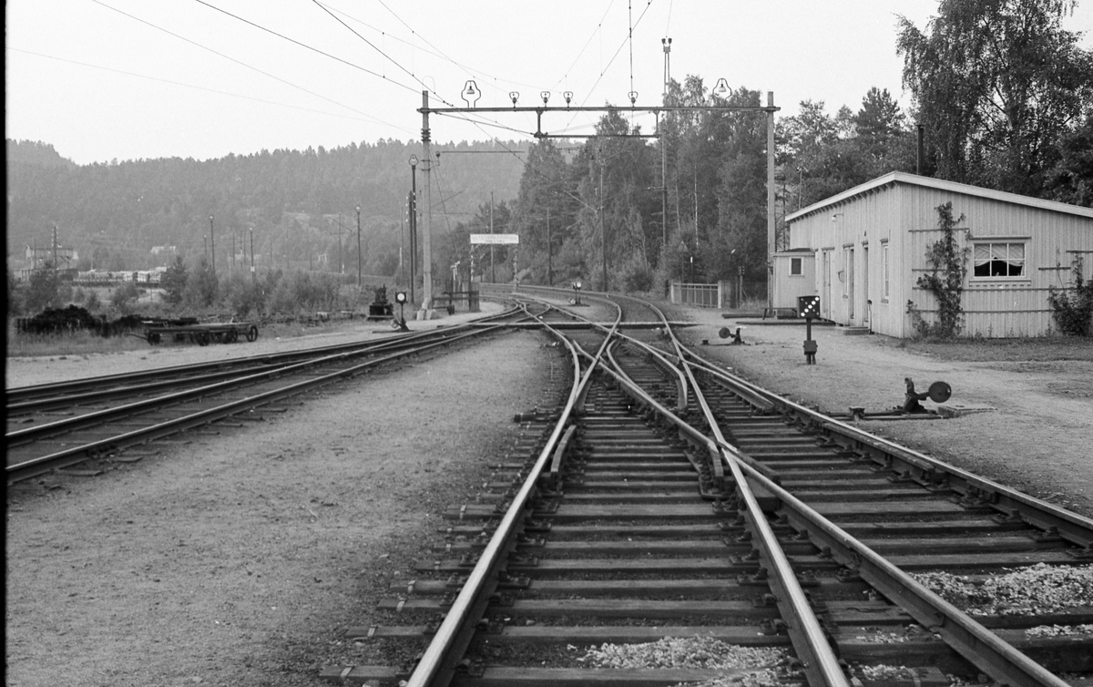 Fra Grovane stasjon. Sørlandsbanen til høyre, Setesdalsbanen til venstre.