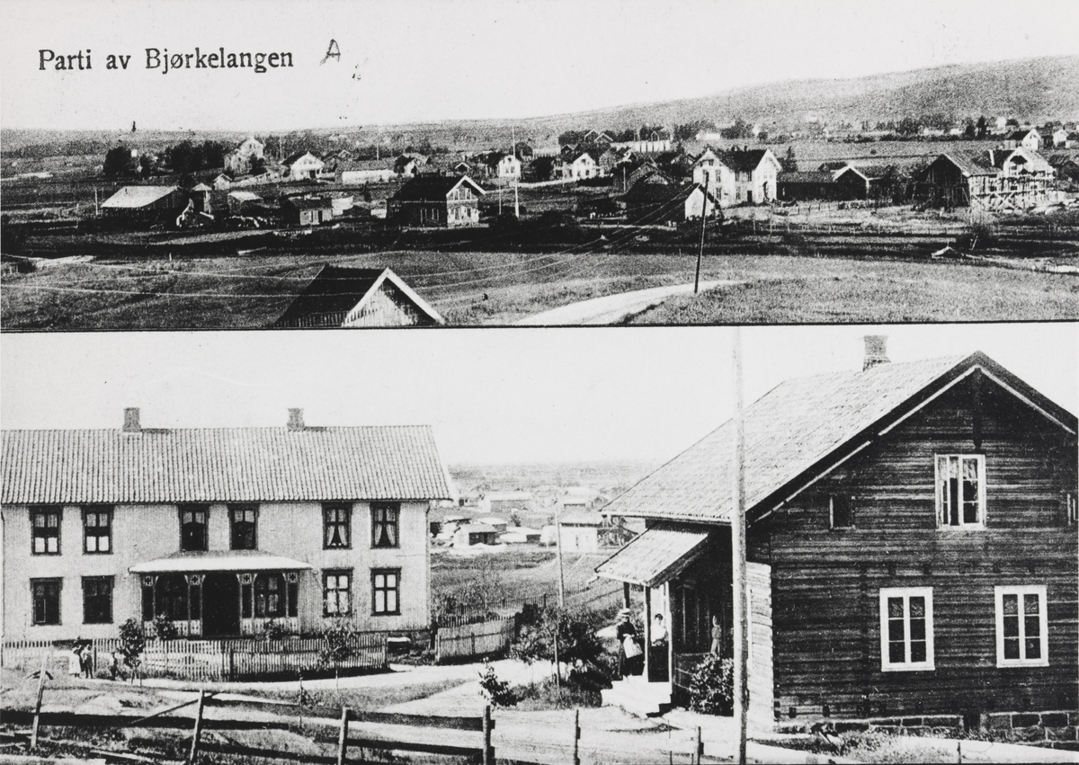 Tettstedet Bjørkelangen m/bolighus og jernbanestasjonen.