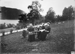 Gruppebilde, damer. ..