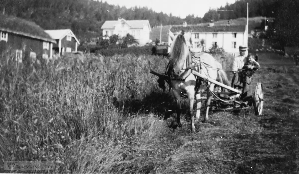 Slåttonn i Nordigarden på Tjelle sommeren 1923.