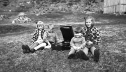 Bildet er tatt vest for låven i Hollingsholmen..(A016)."Tatt