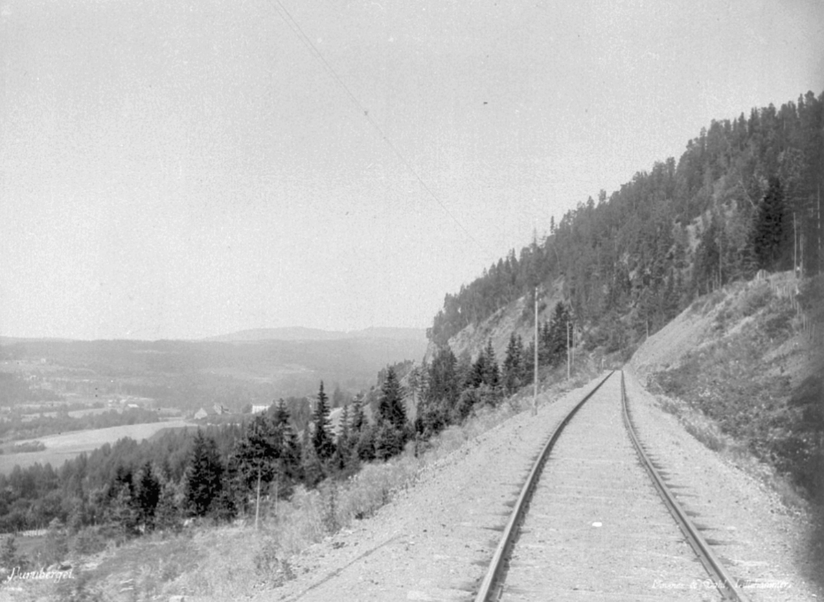 Jernbaneutbygging, skjæringa ved Fangberget, Ringsaker. Mellom Brumunddalen og Veldre stasjoner (anno 1896)- sett nordover.