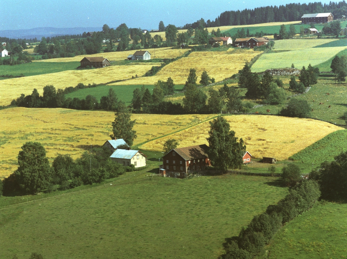 Flyfoto av Bakkom, Mengshoel med flere gårder i bakgrunn.
