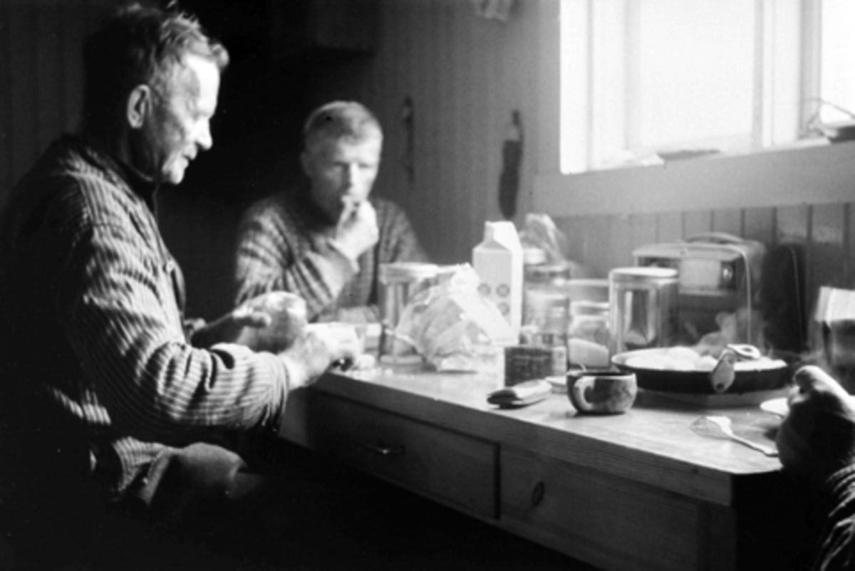 Dugurdskvile i Grønmyrkoia, Furnes Almenning. Fra venstre er Martin Kampenhøy, Reidar Pedersen.