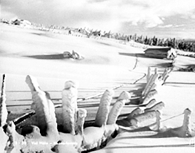Postkort, Løten, Målia i Vangsåsen, Hedmarksvidda, vinterlandskap med skigard,