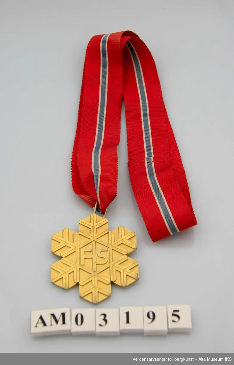 Medaljen har en snøkrstallform med bokstavene FIS. 
Halsbåndet har fargene rødt, hvitt og blått og en lengde på 79 cm.