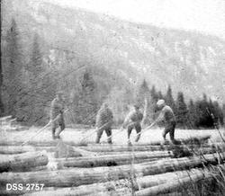 "Hove skogbruksavdeling på tømmerfløting i Gausa"