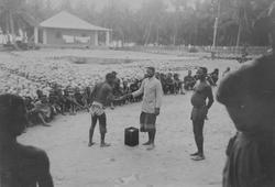 Mosambik. 1914. Fra en kokosplantasje i Quelimane-distriktet