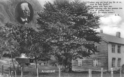 Bjørnstjerne Bjørnsons Arne-tre på gården Utigard i Eikesdal