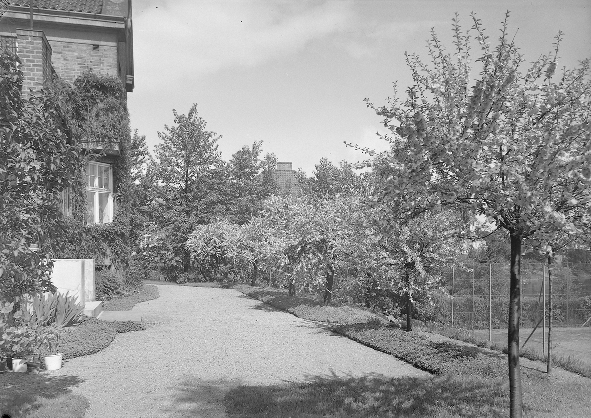 Villaen til konsul Francis Kjeldsberg i Nyveien