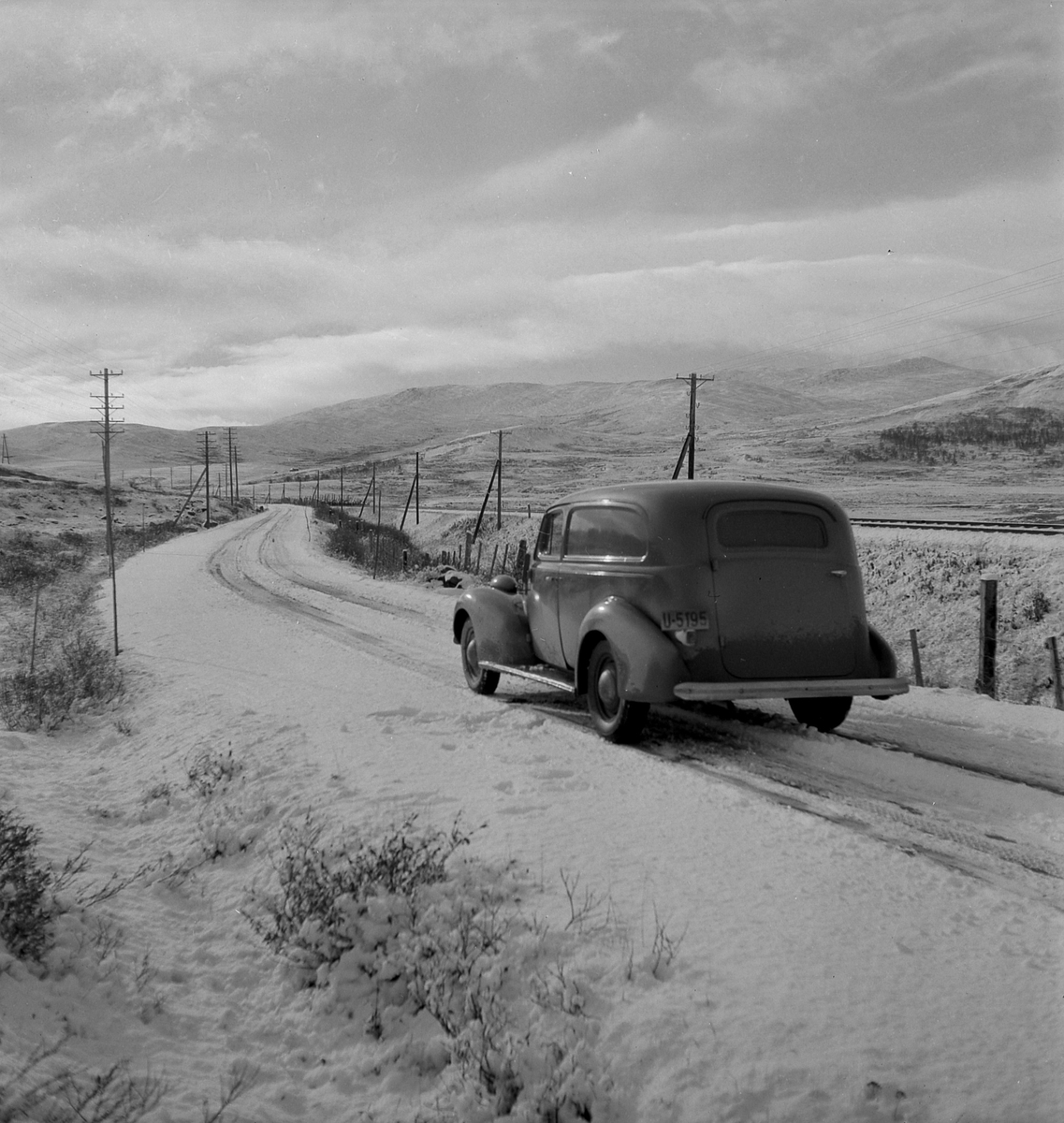 Den første snøen på Dovrefjell høsten 1950