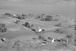 Bukta og Halten sett fra lufta