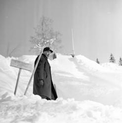 Agnar Renolen, hopp.