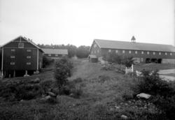Aske nordre gård, Stavsjø, Nes, Hedmark. Stabbur, uthus og l