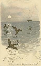 Overrekkingskort [Overrekkingskort]