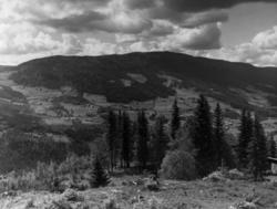 Fra Breidablikk Mot Bagn Valdres