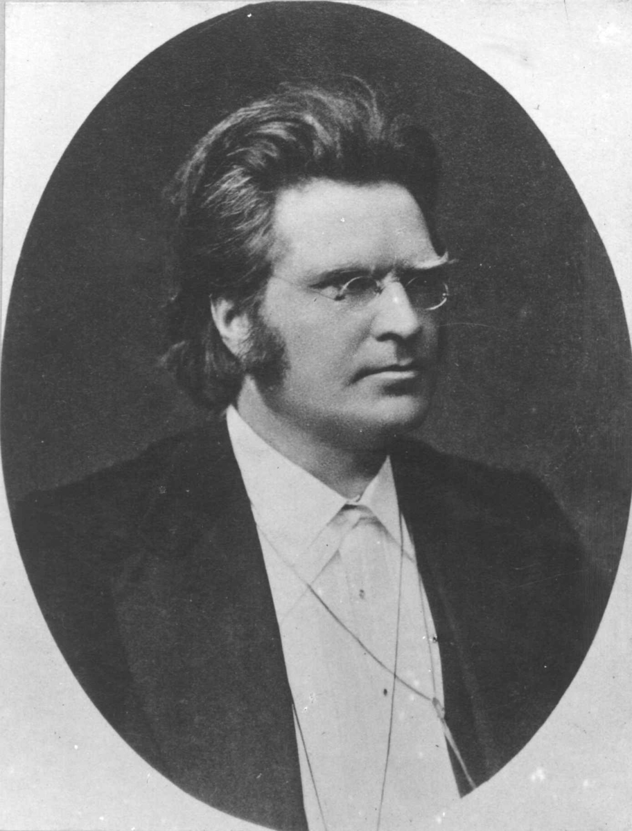 Portrett, Bjørnstjerne Bjørnson (1832-1910).