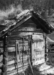 Tust og horverive ved grisehus på Havrevoll. Suldal, Rogalan