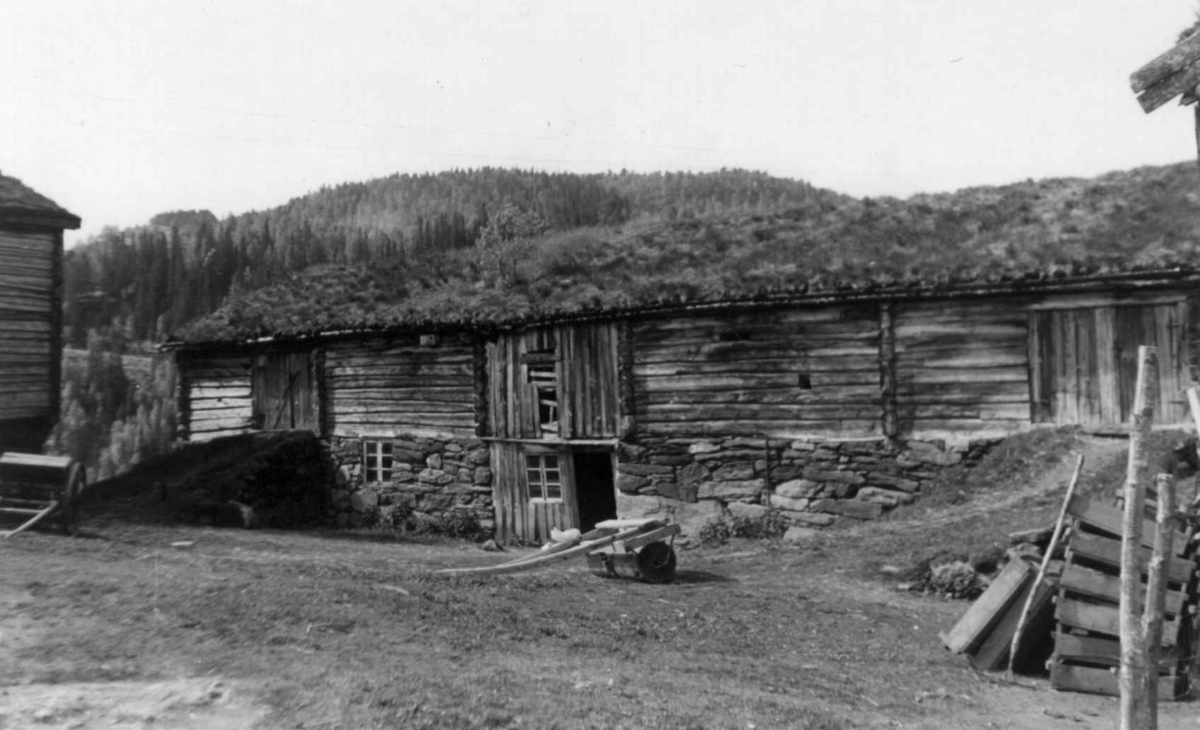 Bortstuu, Åsenhus, Soknedal, Midtre Gauldal, Sør-Trøndelag. Fjøs. Foto: Arne Berg, juni 1952.
