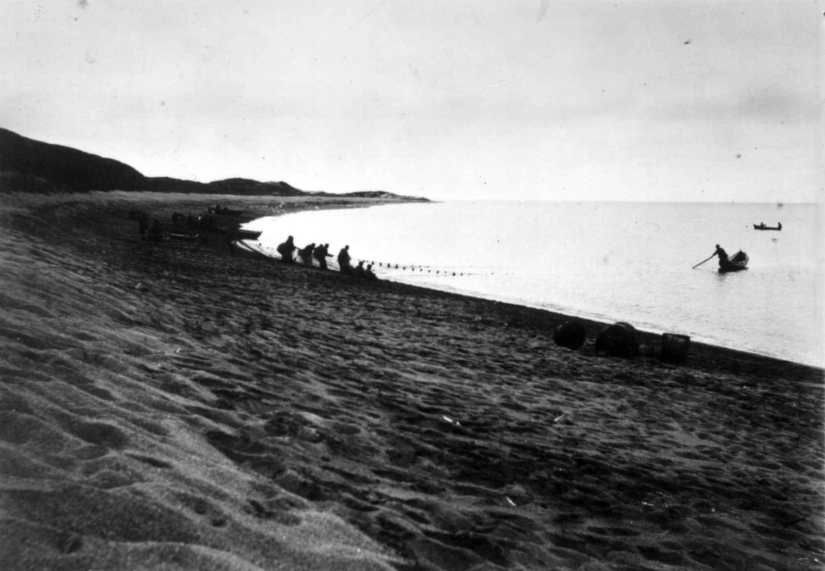 Sildefiske, ved Grense Jakobselv, Sør-Varanger, Finnmark, antatt 1900-10.  Noten trekkes av russere og nordmenn.